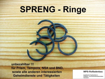 SPRENG-Ringe für Prism, Tempora, for NSA, BND, GCHQ etc.