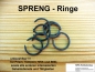 Preview: SPRENG-Ringe für Prism, Tempora, for NSA, BND, GCHQ etc.