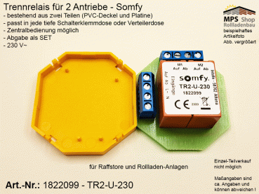 1822099-TR2-U-230V~ / Trennrelais für 2 Antriebe, Zentralsteuerung möglich - Somfy
