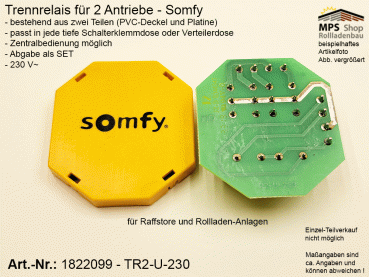 1822099-TR2-U-230V~ / Trennrelais für 2 Antriebe, Zentralsteuerung möglich - Somfy