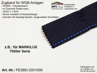 PESBD-200100K - Zugband für WGB 20mm x 1,0mm - schwarz mit blauem Kennfaden